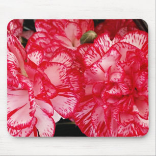 Computermousepad mit roter und weißer Narbenkarnat Mousepad