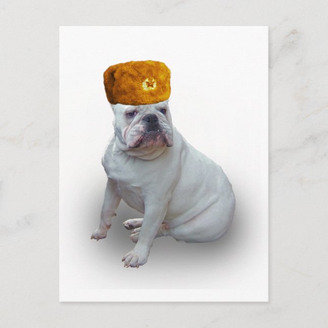 Comrad Bulldog Postkarte (Vorderseite)