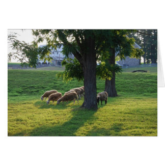 Comté de Berks, Pennsylvanie