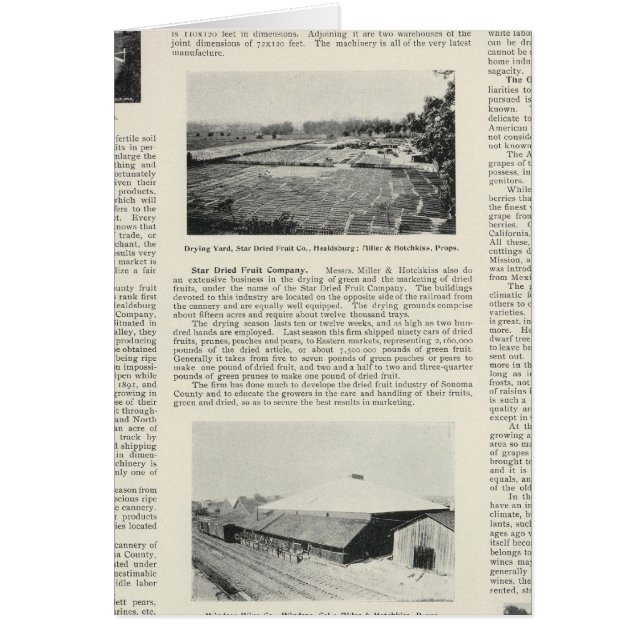 Comté de Sonoma, Californie (Devant)