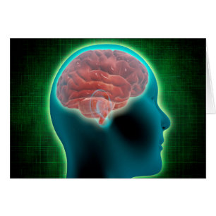 Concept Image of Female Body with Brain 2