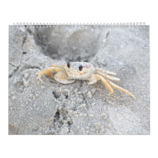 Conception 2 de calendrier mural d'île de Pawleys