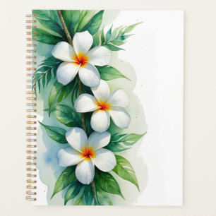 Conception aquarelle de plumeria tropical boho et