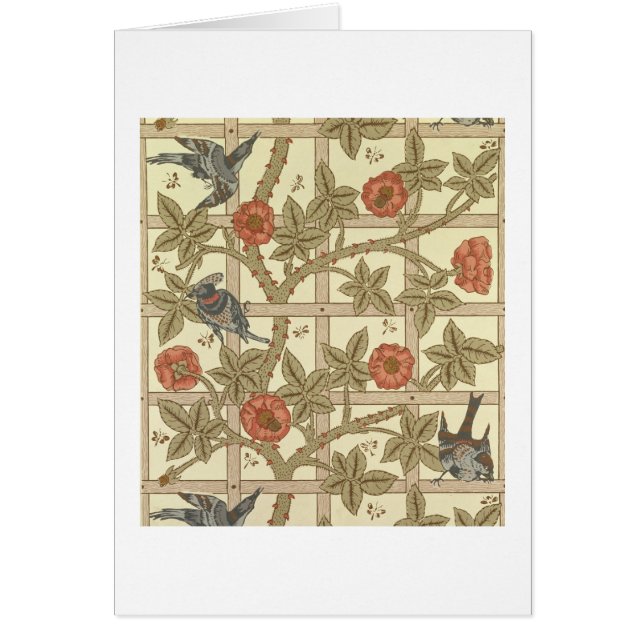 Conception bleue et orange de papier peint de (Devant)