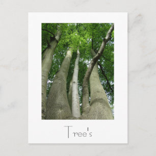 Conception de carte postale Arbres