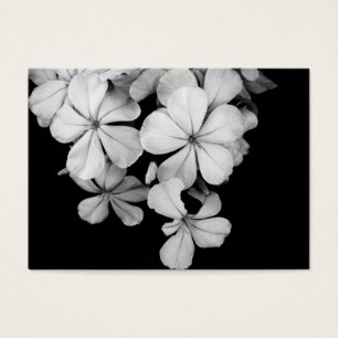 Conception de carte postale noir et blanc