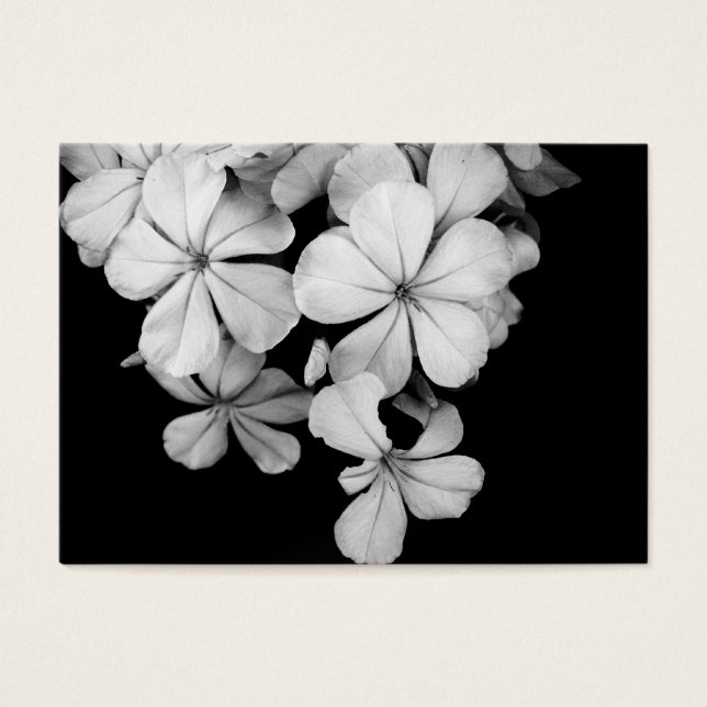 Conception de carte postale noir et blanc (Devant)