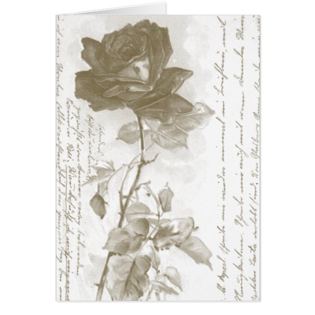 Conception de carte postale rose (Devant)