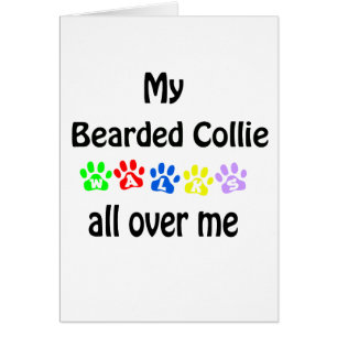 Conception de la marche de Collie