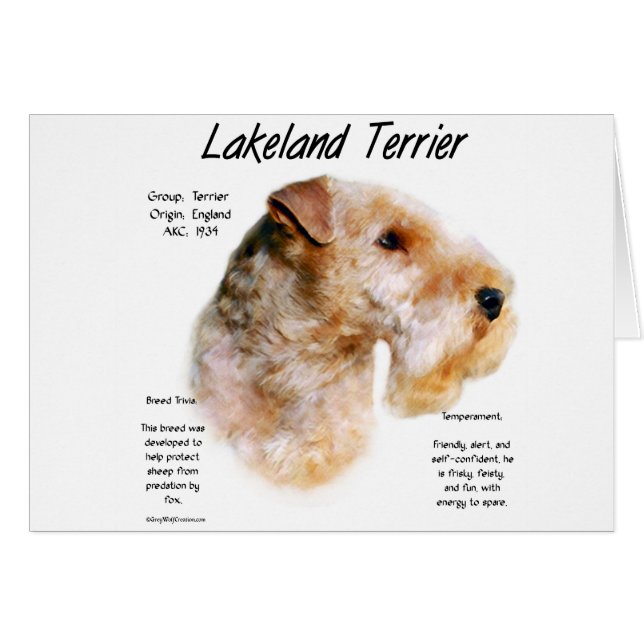 Conception de l'histoire de Lakeland Terrier (Devant horizontal)