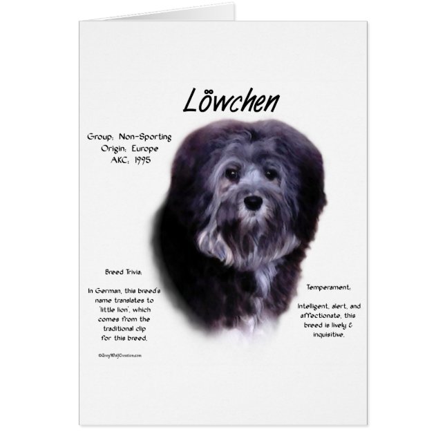 Conception de l'histoire de Löwchen (Devant)