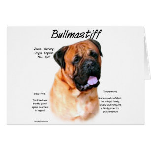 Conception de l'historique Bullmastiff (rouge)
