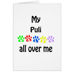 Conception de Puli Walks