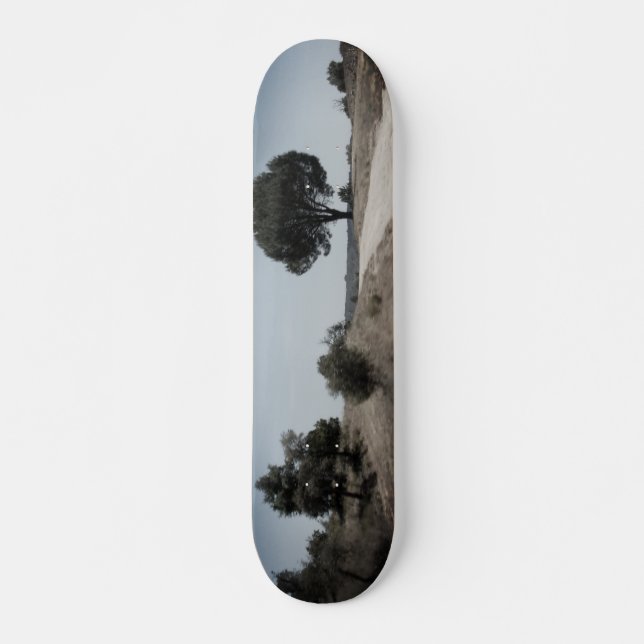 CONCEPTION DE STYLE SKATEBOARD (Devant)