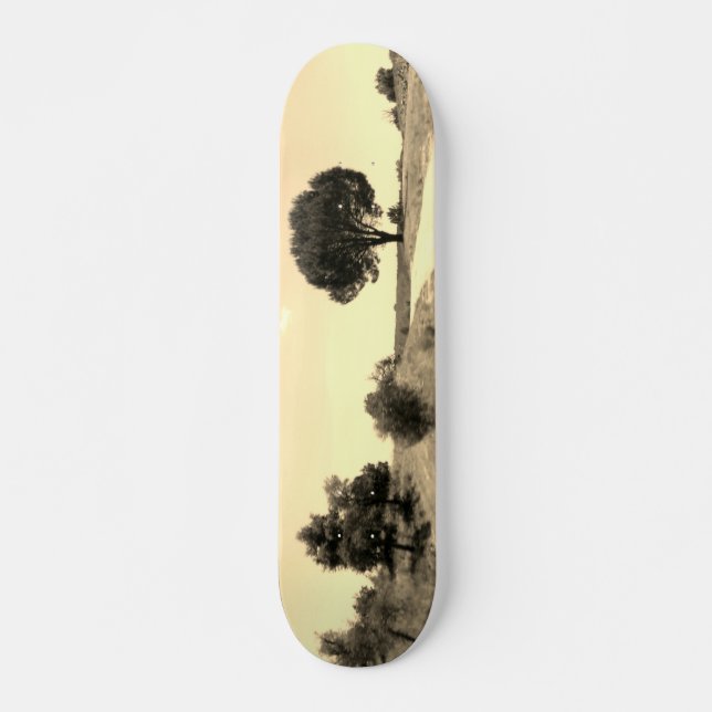CONCEPTION DE STYLE SKATEBOARD (Devant)