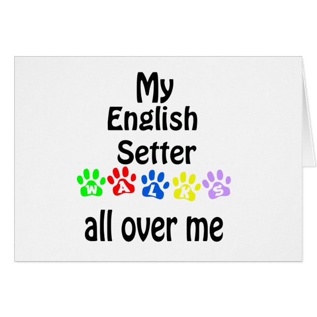 Conception des marches de Setter Anglais (Devant horizontal)