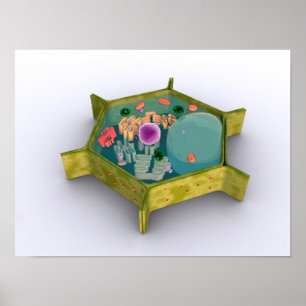 Conceptual Image of a Pflanze Cell Poster