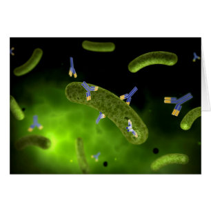 Conceptual Image of Antibody Killing Bacteria