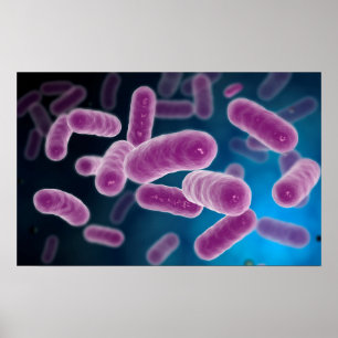Conceptual Image of Bacteria 3 Poster
