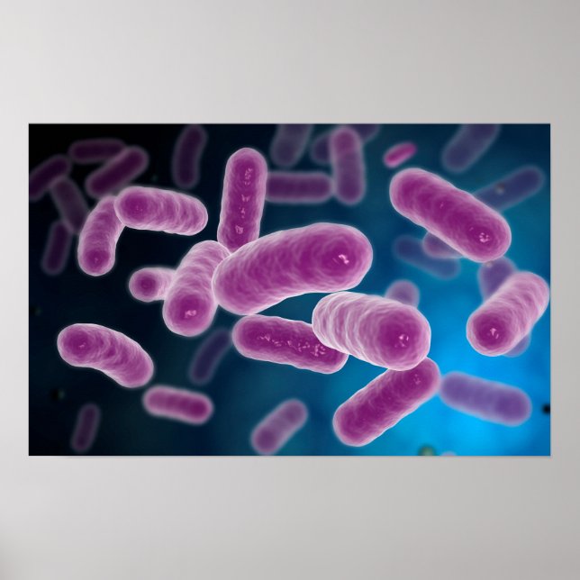 Conceptual Image of Bacteria 3 Poster (Vorne)