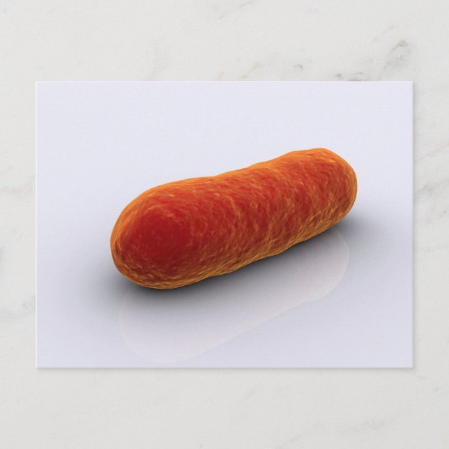 Conceptual Image of Bacteria 4 Postkarte (Vorderseite)
