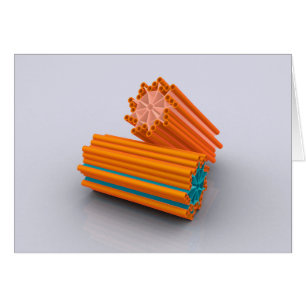 Conceptual Image of Centrioles 2