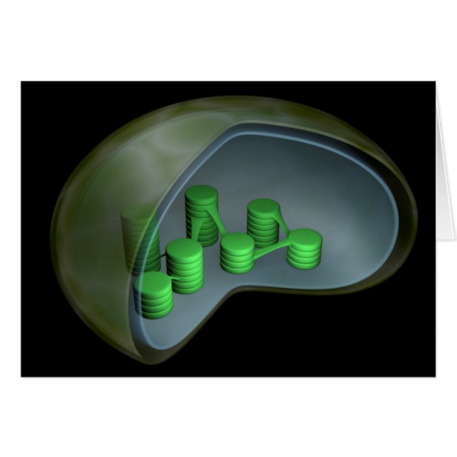 Conceptual Image of Chloroplast 1 (Vorderseite (Horizontal))