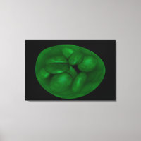 Conceptual Image of Chloroplast 2