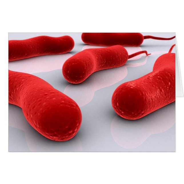 Conceptual Image of Cholerae Bacteria (Vorderseite (Horizontal))