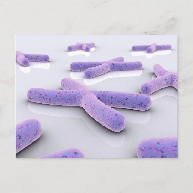 Conceptual Image of Chromosom 4 Postkarte (Vorderseite)
