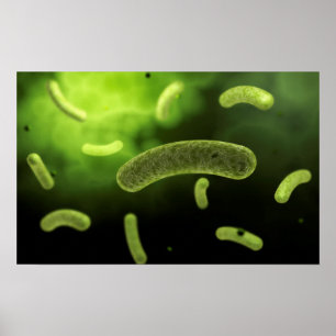 Conceptual Image of Common Bacteria Poster