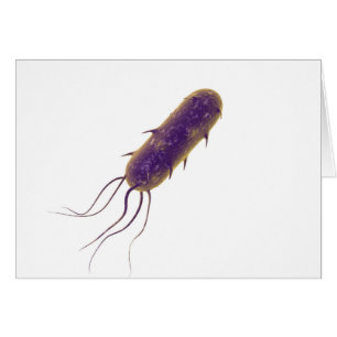 Conceptual Image of Flagellate Bacterium 2