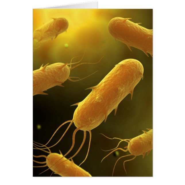 Conceptual Image of Flagellate Bacterium 3 (Vorne)