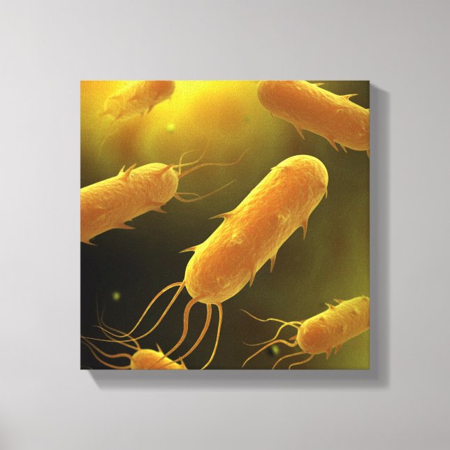 Conceptual Image of Flagellate Bacterium 3 Leinwanddruck (Vorderseite)
