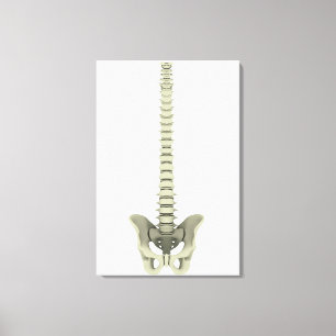 Conceptual Image of Human Backbone 1 Leinwanddruck