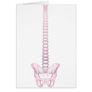 Conceptual Image of Human Backbone 2