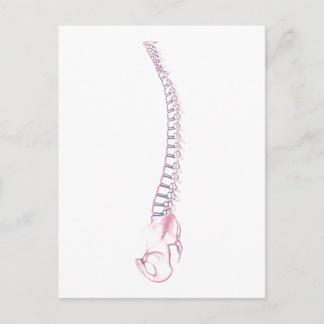 Conceptual Image of Human Backbone 3 Postkarte (Vorderseite)