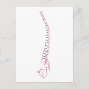 Conceptual Image of Human Backbone 3 Postkarte
