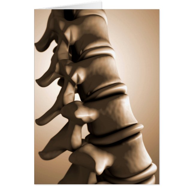 Conceptual Image of Human Backbone 4 (Vorne)