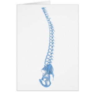 Conceptual Image of Human Backbone 5