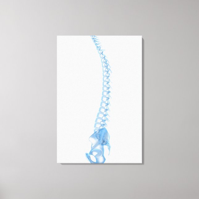 Conceptual Image of Human Backbone 5 Leinwanddruck (Vorderseite)