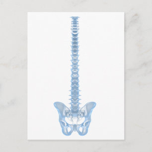 Conceptual Image of Human Backbone 6 Postkarte