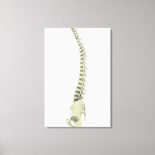 Conceptual Image of Human Backbone 7 Leinwanddruck
