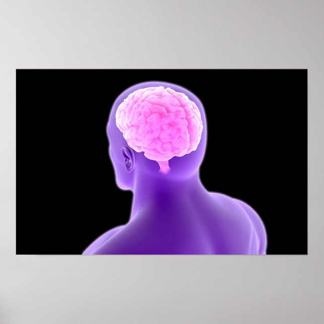 Conceptual Image Of Human Brain 9 Poster (Vorne)