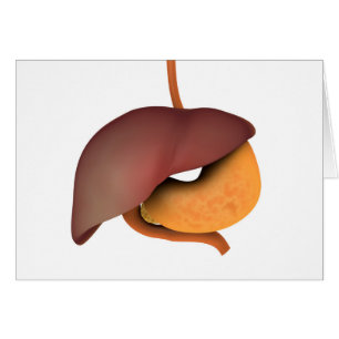 Conceptual Image of Human Digestive System 3