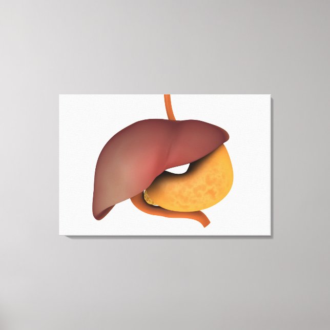 Conceptual Image of Human Digestive System 3 Leinwanddruck (Vorderseite)