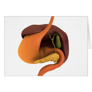 Conceptual Image of Human Digestive System 4