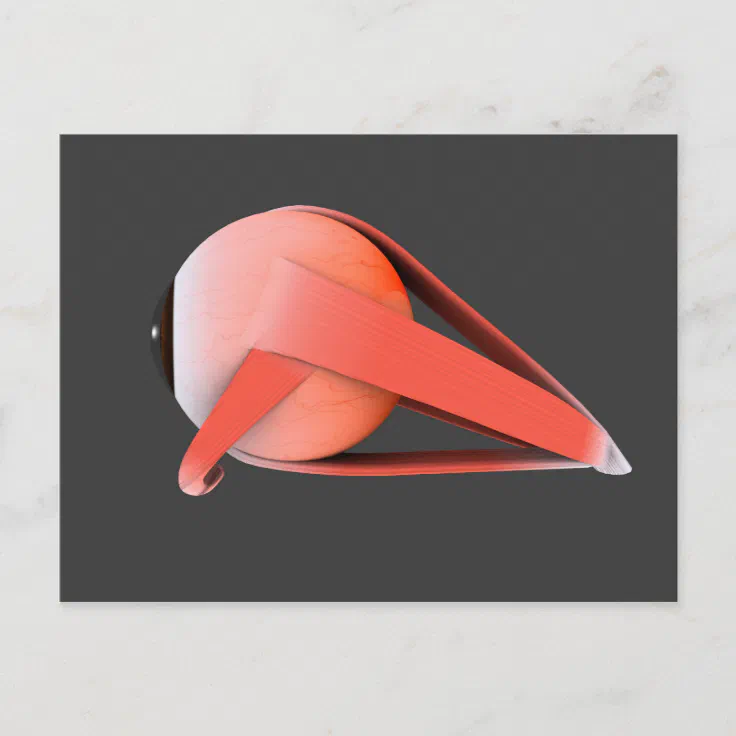 Conceptual Image of Human Eye Anatomy 7 Postkarte | Zazzle.ch