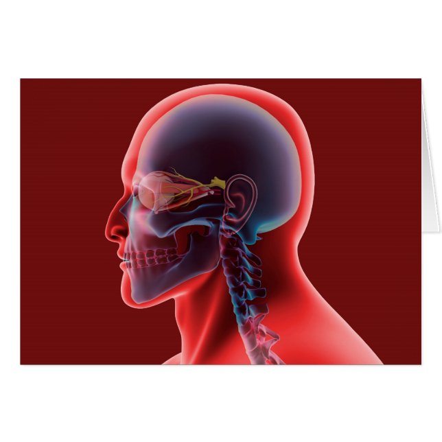 Conceptual Image of Human Eye and Skull (Vorderseite (Horizontal))