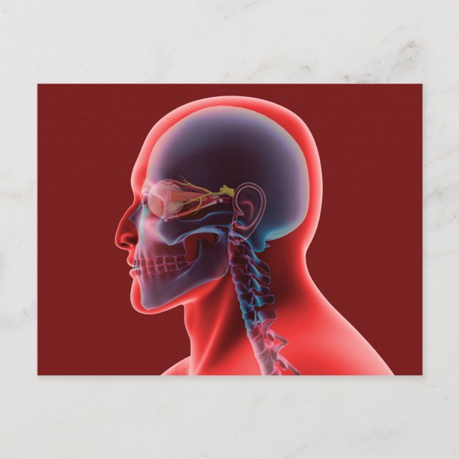 Conceptual Image of Human Eye and Skull Postkarte (Vorderseite)